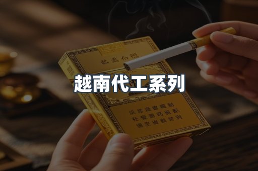 越南代工系列